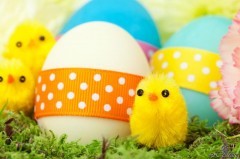 Dieta a Pasqua: uovo o colomba?