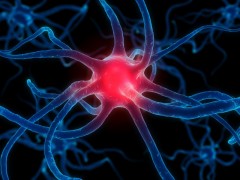 Parkinson, ruolo terapeutico delle cellule staminali mesenchimali