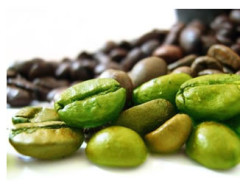 estratto di caffe verde