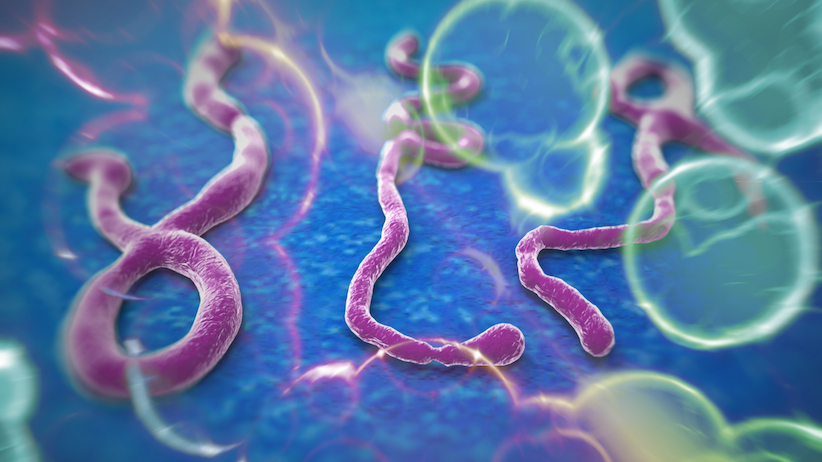 Ebolavirus, vertice a Sassari mentre l'infermiere peggiora