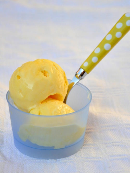 gelato alla crema bimby