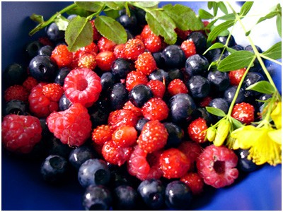 Parkinson: prevenirlo con i frutti di bosco