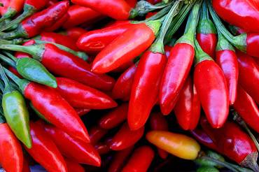 Peperoncino: fa dimagrire