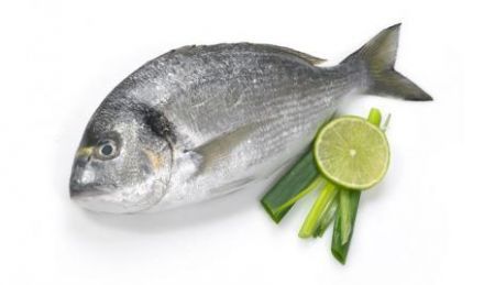 il pesce