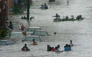 Uragano Irene: caduti 650 alberi
