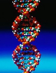 dna- Lettura Dna: costa mille dollari