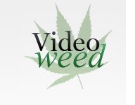 VideoWeed chiuso: polemiche su Facebook