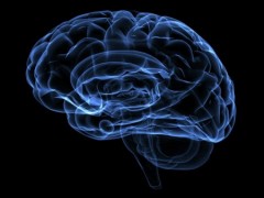 Ictus: chi ha il diabete è più a rischio