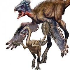 dinosauro piumato: scoperta incredibile