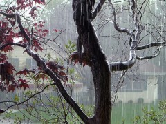Previsioni meteo pasquetta 2012: ultime notizie