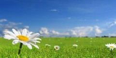 Quinto conto energia: novità e modifiche