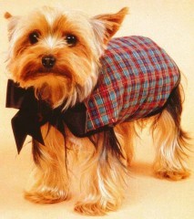 cappottino_cane Tassa cani e gatti 2012: tutti i dettagli