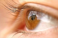 Occhio bionico: ridà la vista a malati di retinite pigmentosa