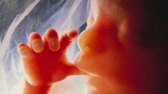 amniocentesi Amniocentesi stop: basta un esame del sangue