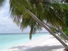 viaggio-esotico-vaccini Viaggi esotici: vaccini per i bambini