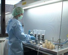 Tumori: trovata proteina che li combatte
