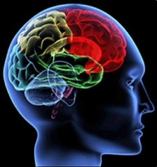 Ictus ed emobolia sistemica: nuovo farmaco per prevenirli