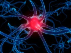 parkinson Morbo di Parkinson cura: 24 novembre Giornata dell’informazione