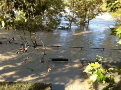tevere-piena Tevere piena: 14 novembre 2012 ultime notizie, aggiornamenti tempo reale. Video