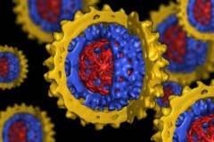 epatite-b Epatite B cronica: sintomi, cure e situazione in Italia