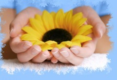 Salute: l'importanza della prevenzione