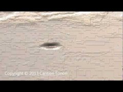 ufo-ostia Ufo Ostia video YouTube: immagini incredibili
