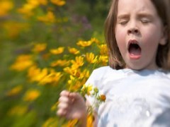 Malattie respiratorie: pneumologia a rischio