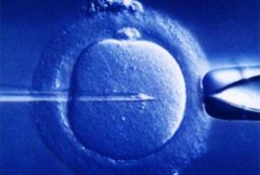 Infertilità: lo stress tra le cause