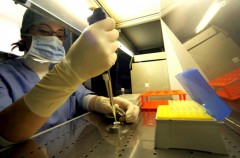 Cellule staminali mesenchimali: il parere dell'esperto