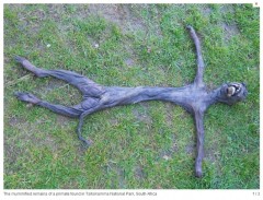 Strano cadavere ritrovato in Africa: a che specie appartiene?