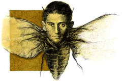 franz-kafka-insetto