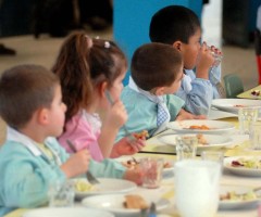 Truffa: cibo mangiato da topi distribuito a scuola e in ospedale