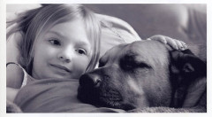 pet
