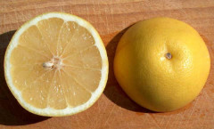 Muffa, rimedi naturali per eliminare un pericolo per la salute