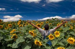 Restare in forma: regole importanti da seguire