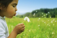 allergia bambini
