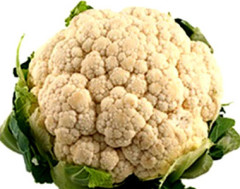 cavolfiore