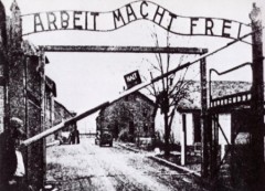 Se questo è un uomo: Primo Levi testimonianza attuale nel Giorno della Memoria