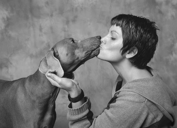 cani