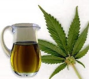 olio di CBD