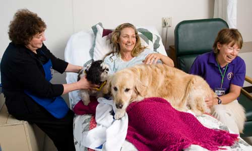 pet therapy