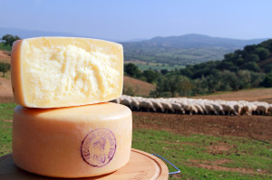 Il Consorzio interviene nel giorno della mobilitazione contro la contraffazione alimentare a tutela del Made in Italy Pecorino Toscano Dop: “Solidarietà ai produttori di Parmigiano Reggiano e Grana Padano” Righini: “Ci vuole una norma che obblighi a inserire nelle etichette l’origine di tutti i prodotti agroalimentari”