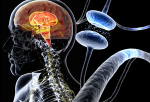 Al via la 6a edizione di Run4Parkinson, corsa non competitiva per sensibilizzare alla malattia