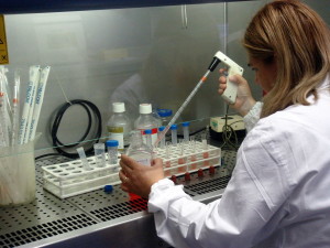 Palermo, nasce il centro per le biotecnologie Chab
