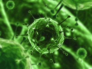 Antibiotici e batteri killer: emergenza nel Regno Unito