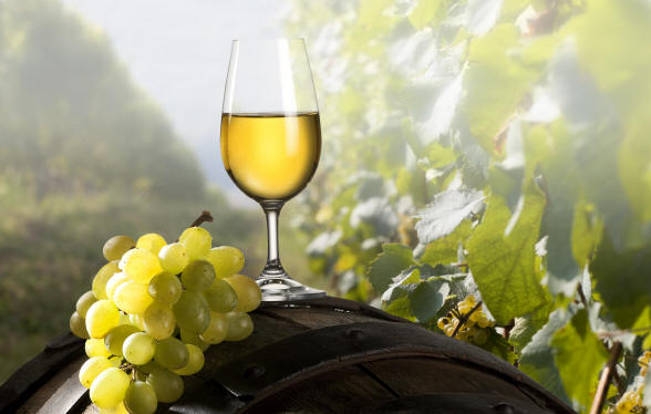 Il vino bianco protegge cuore e reni nuovo studio