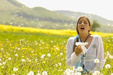 Allarme Ambrosia, boom allergie da polline entro il 2050