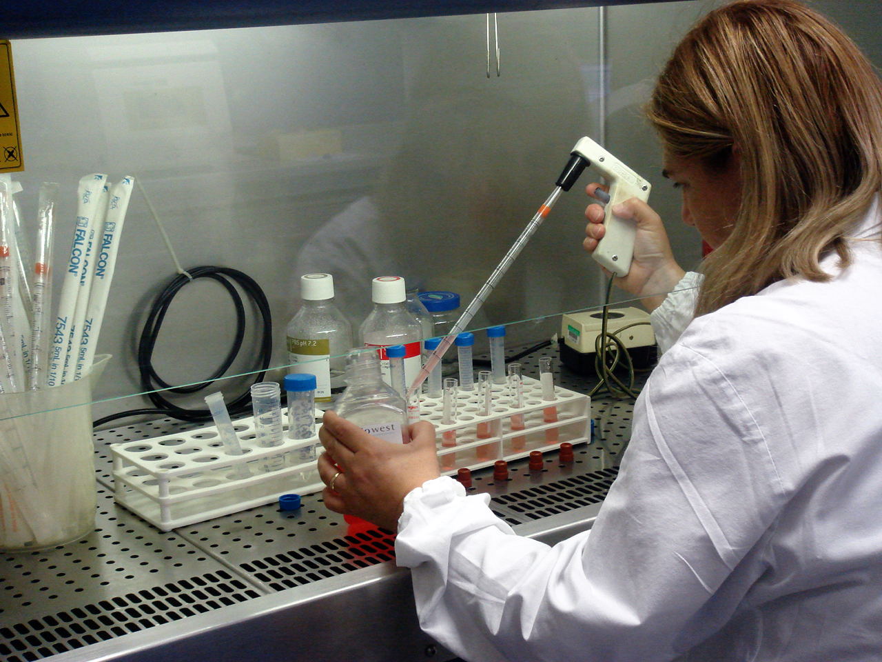 Cancro non più incurabile, ma serve assistenza psicologica
