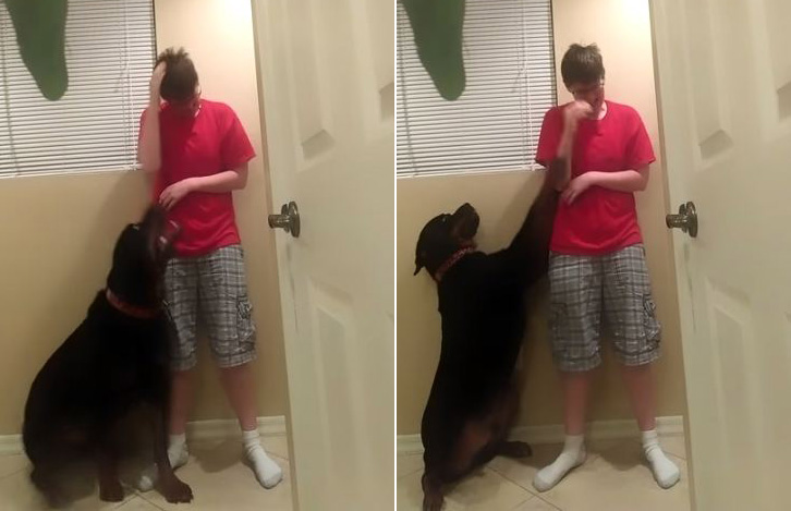 Asperger, Danielle soccorsa dal suo cane durante una crisi