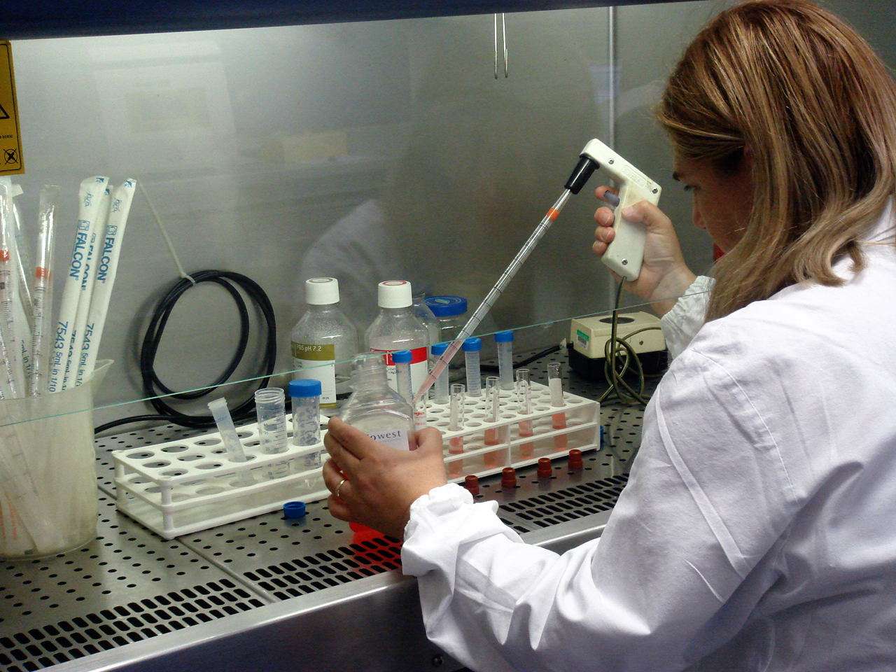 Usa: creato fegato in laboratorio